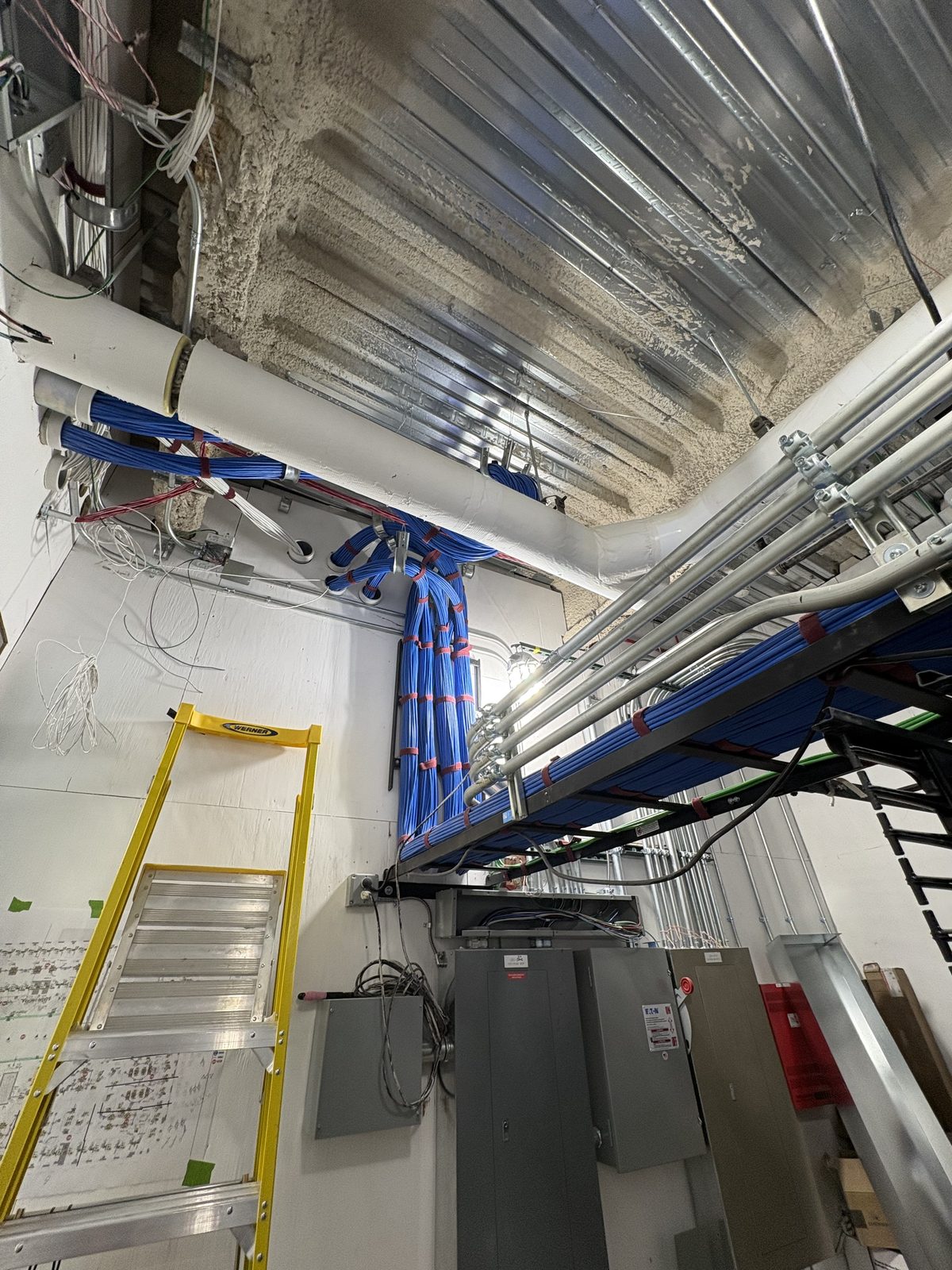 Blue cable bundles routed up the wall onto an overhead ladder rack