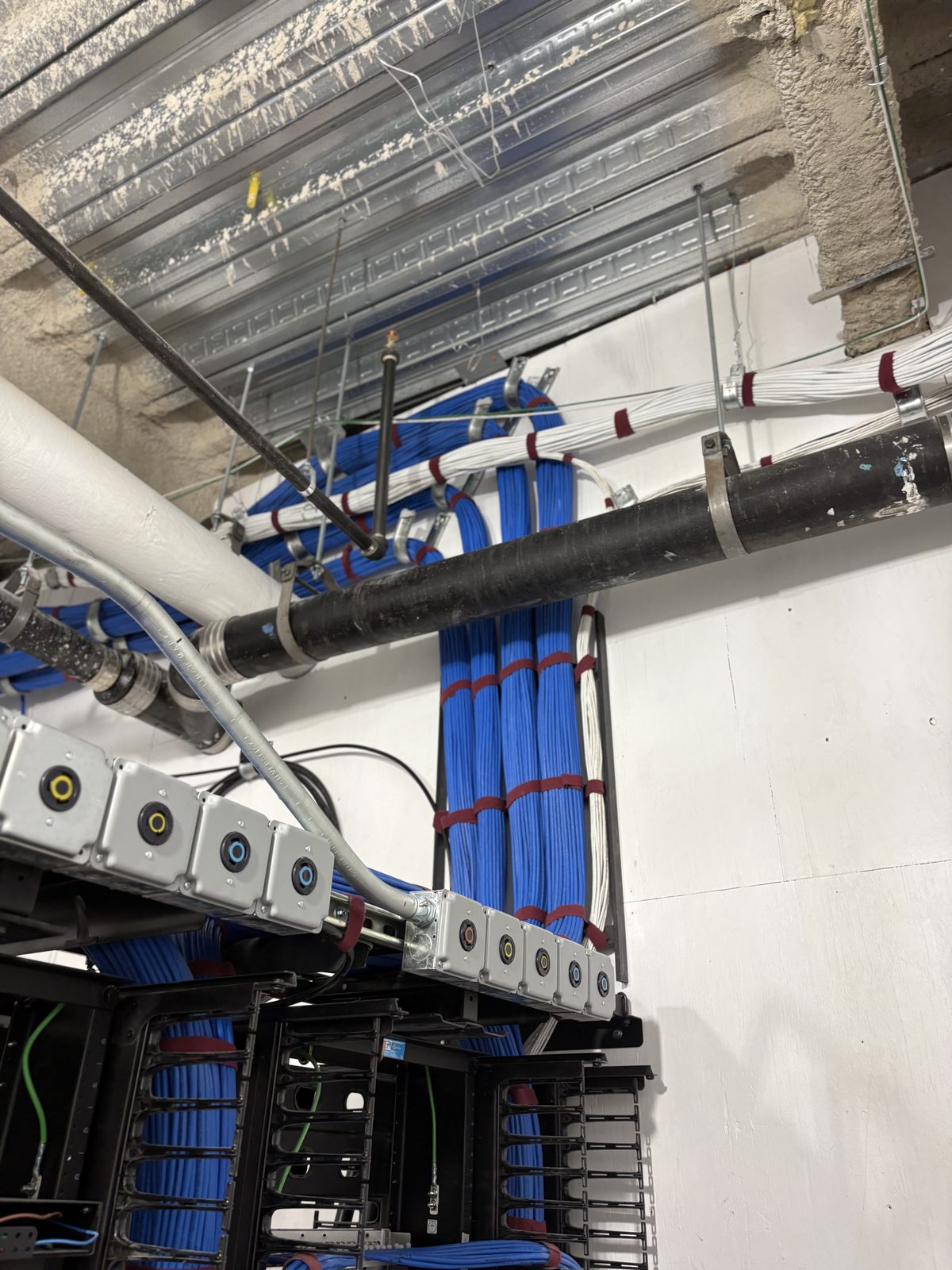 Blue cable bundles routed overhead near junction boxes