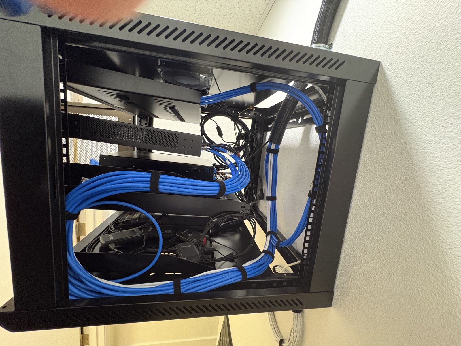Wall-mounted cabinet interior with dressed blue cabling